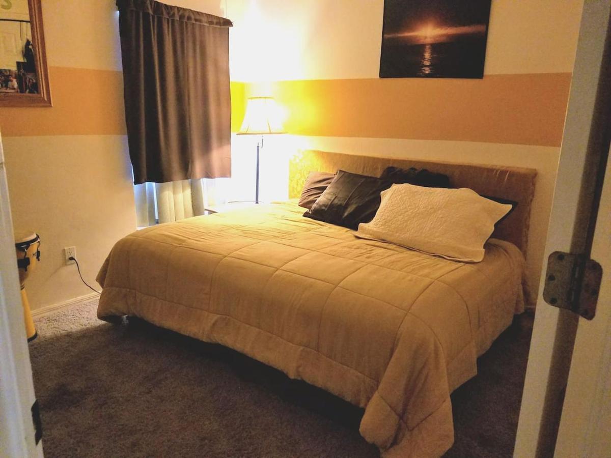 Cozy And Conveniently Located Pool Home With Free Wifi تامبا المظهر الخارجي الصورة