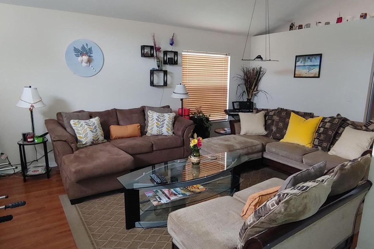 Cozy And Conveniently Located Pool Home With Free Wifi تامبا المظهر الخارجي الصورة