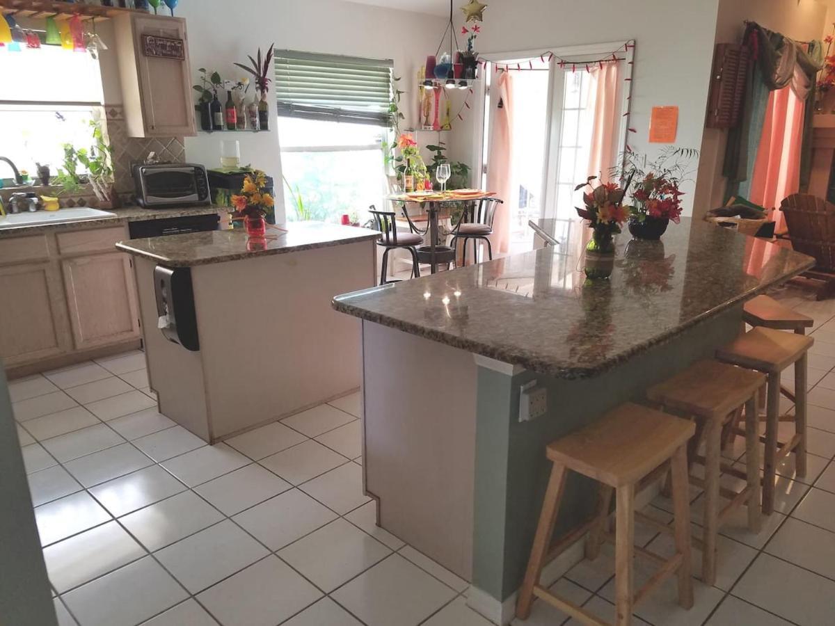 Cozy And Conveniently Located Pool Home With Free Wifi تامبا المظهر الخارجي الصورة