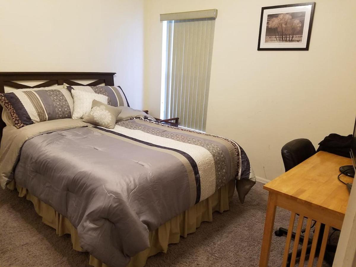Cozy And Conveniently Located Pool Home With Free Wifi تامبا المظهر الخارجي الصورة