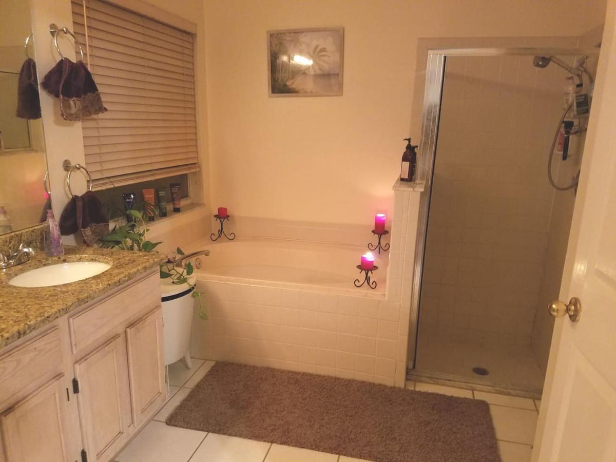 Cozy And Conveniently Located Pool Home With Free Wifi تامبا المظهر الخارجي الصورة